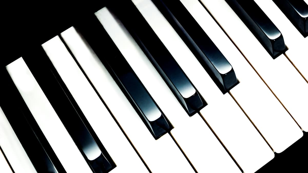Beautiful piano keys showing craftsmanship and musical excellence